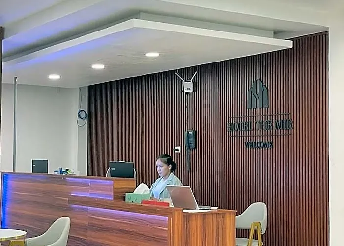 Hotel The Mir