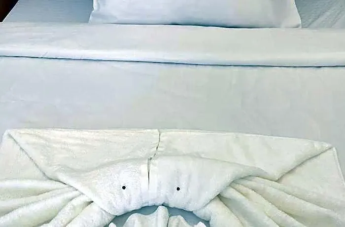 Hotel The Mir 5*